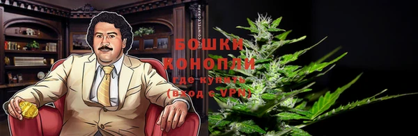 ПСИЛОЦИБИНОВЫЕ ГРИБЫ Тутаев
