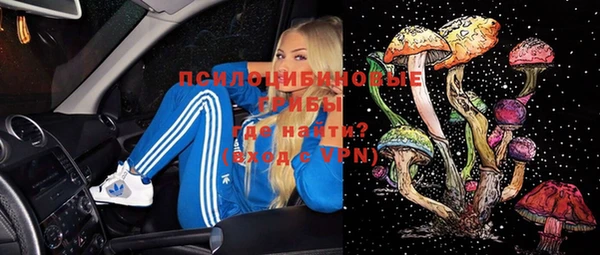 ПСИЛОЦИБИНОВЫЕ ГРИБЫ Тутаев