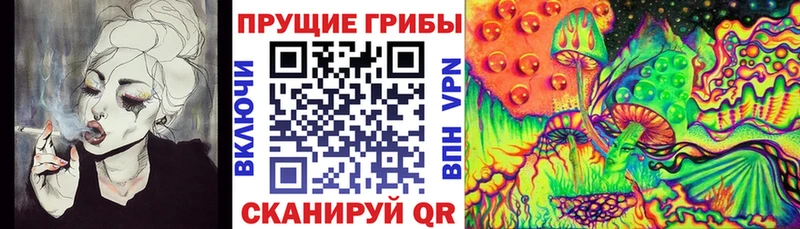 Псилоцибиновые грибы Psilocybine cubensis блэк спрут tor Светлый сколько стоит